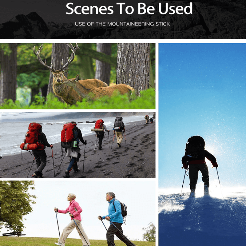 عصا المشي القابلة للطي